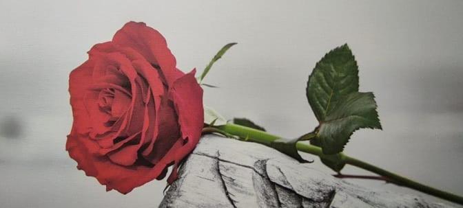 레체 Rosahouse 아파트 외부 사진